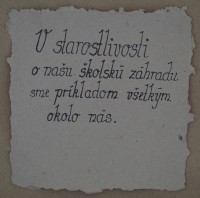 /album/ekokodex-zelenej-skoly/p1010079-large-jpg6/